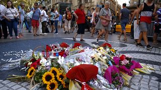 14 people were killed when a van drove into pedestrians on Barcelona's historic Las Ramblas in August 2017.