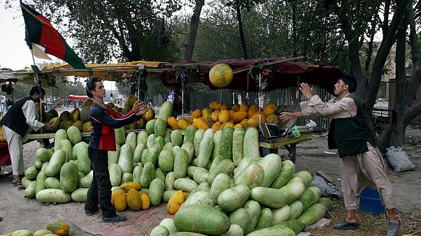 Afganistan'ın başkenti Kabil'de kavun, karpuz satan sokak satıcıları (arşiv) Afganistan'ın başkenti Kabil'de kavun, karpuz satan sokak satıcıları (arşiv)