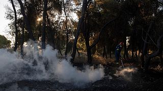 A firefighter tries to extinguish the fire near the seaside area Kechries, near Corinth, Greece,