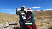 4 bin metrede uzaktan eğitim için sinyal yakalamaya çalışan Perulu öğrenci