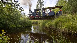 A miniature steam train runs across a bridge on Pavel Chilin's personal railway in a village outside St. Petersburg.