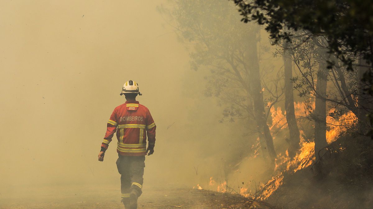 Спутники помогут Португалии бороться с лесным пожаром