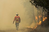 Спутники помогут Португалии бороться с лесным пожаром