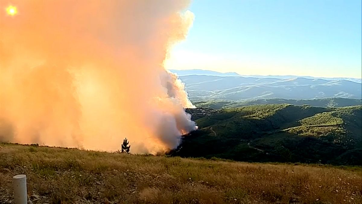 Португалия: лесные пожары удалось взять под контроль 