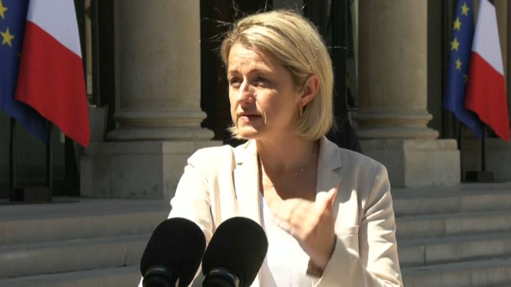 France Les Premieres Mesures Du Conseil De Defense Ecologique Euronews