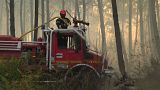 Firefighters combat forest fire in France's Gironde region