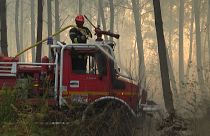 Лесной пожар в департаменте Жиронда 