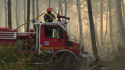Лесной пожар в департаменте Жиронда 
