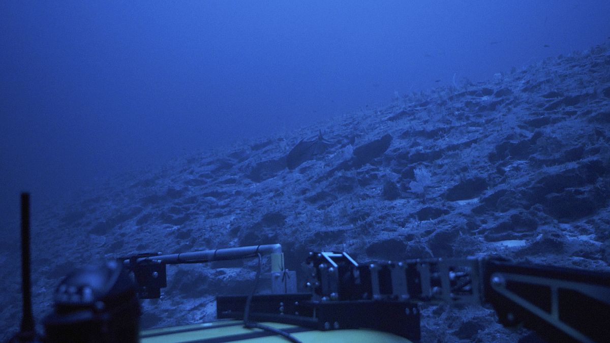 تصویری از یک زیردریایی تحقیقاتی در آبهای نزدیک جزیرهٔ سِشل، ۲۰۱۹ 