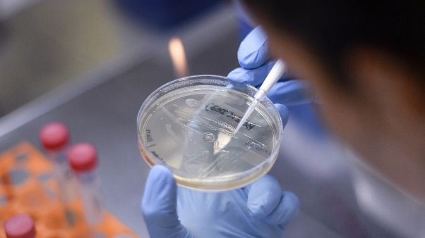 Uno de los proyectos más avanzados para conseguir la vacuna del coronavirus es italiano Uno de los proyectos más avanzados para conseguir la vacuna del coronavirus es italiano