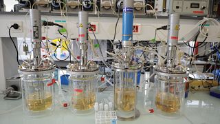 View of elements in the multilevel laboratory of the CAFE project at the INRA