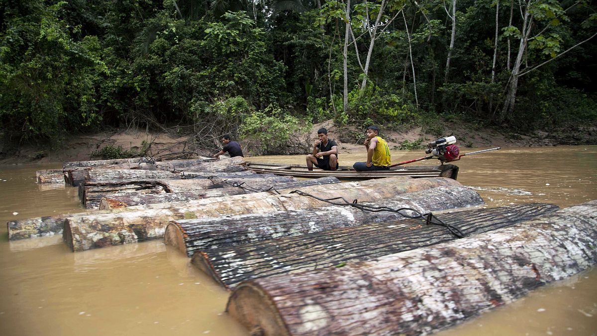 Illegális fakitermelők Peruban