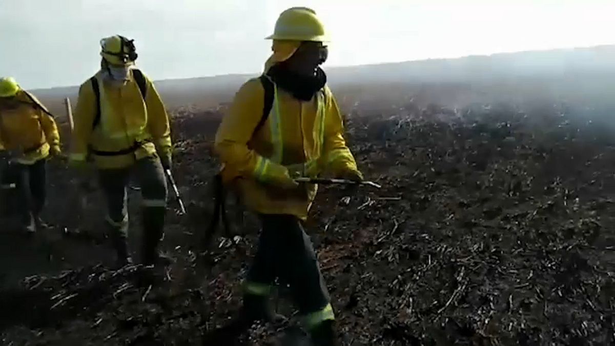 Un grupo de bomberos trata de apagar un incendio de una de las islas del Delta del Paraná
