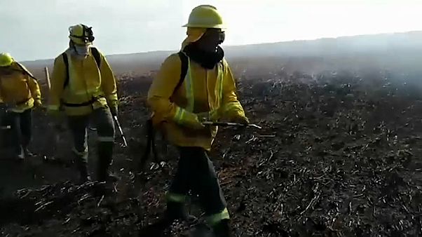 Un grupo de bomberos trata de apagar un incendio de una de las islas del Delta del Paraná Un grupo de bomberos trata de apagar un incendio de una de las islas del Delta del Paraná