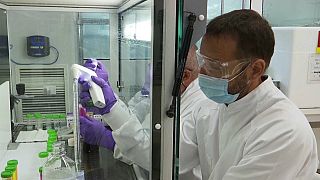 Sanofi и GSK поставят Великобритании 60 миллионов доз противокоронавирусной вакцины