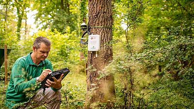 Matthew Wilkinson from Forest Research setting up the sensors which will use IoT technology to support researchers. Matthew Wilkinson from Forest Research setting up the sensors which will use IoT technology to support researchers.