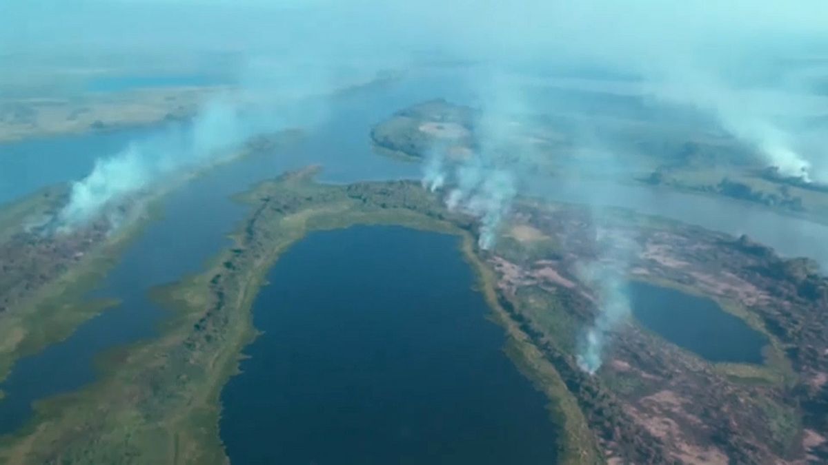 شاهد: البرازيل تحاول احتواء الحرائق  في أكبر مناطق مستنقعات العالم