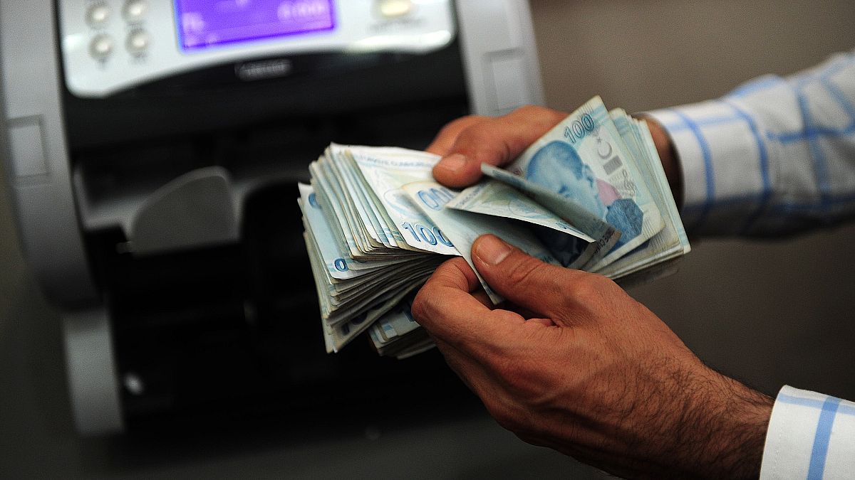 Türk Lirası'nın değer kaybı karşısında döviz rezervleri yeterli mi? 