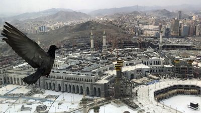 A pigeon flies over the site of the Grand Mosque that is empty due to the coronavirus prevention procedures, on the first day of the annual hajj 