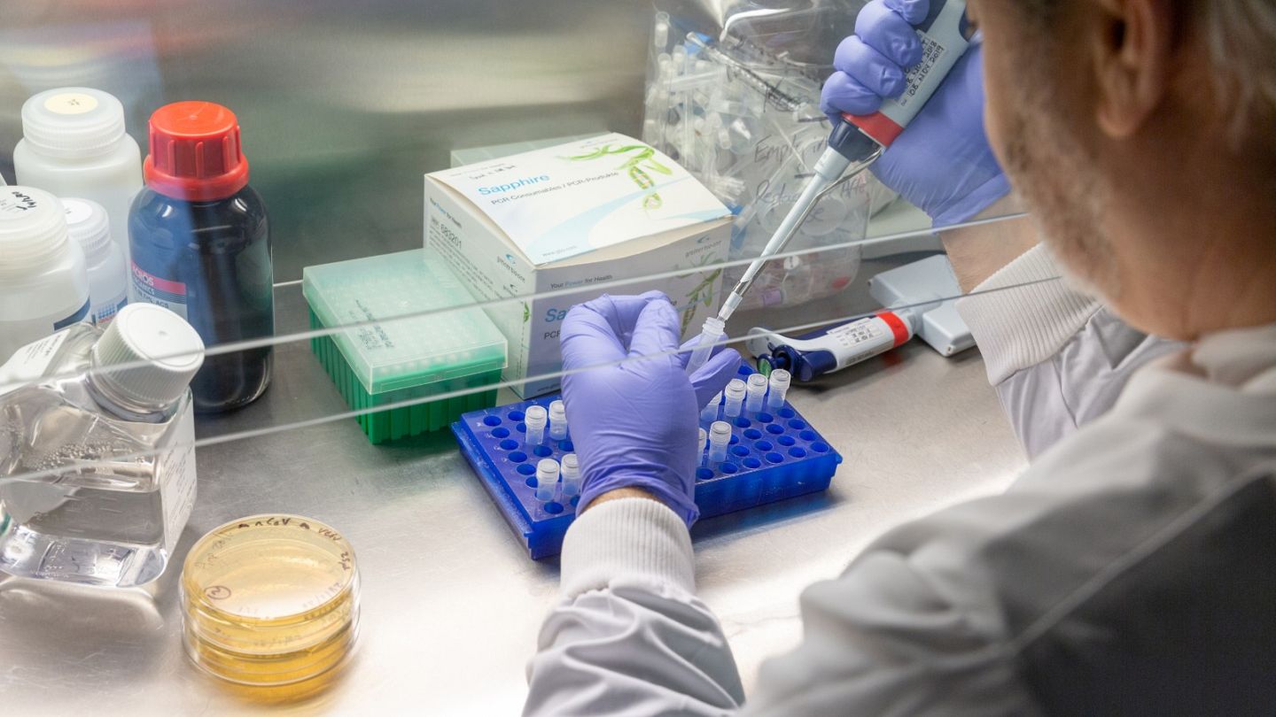 Once A Covid 19 Vaccine Is Found What Happens Next Euronews
