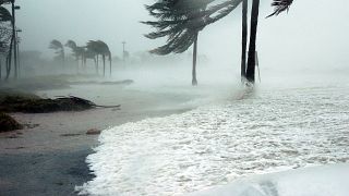 إعصار في فلوريدا الأمريكية