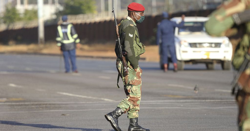 Zimbabwe: Protesters Arrested At Banned Anti-government March | Africanews