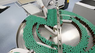A laboratory technician is seen at a Sanofi-Pasteur production plant manufacturing Panenza, a vaccine for the H1N1 flu virus