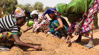 AfDB pledges $6.5bn to help Sahel countries fight desertification