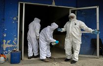 Workers at the crematorium at Xilotepec Cemetery in Xochimilco, Mexico City