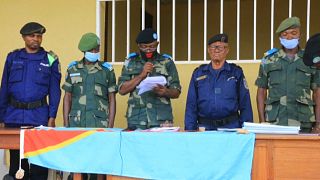 15 miliciens condamnés à 20 ans de prison en République démocratique du Congo 