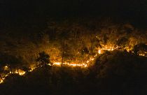 İzmir'in Menderes ilçesinde çıkan orman yangınına müdahale ediliyor