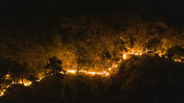 İzmir'in Menderes ilçesinde çıkan orman yangınına müdahale ediliyor İzmir'in Menderes ilçesinde çıkan orman yangınına müdahale ediliyor