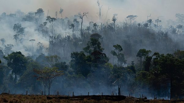 Fires in Brazil's Amazon up 28% in July, worrying experts