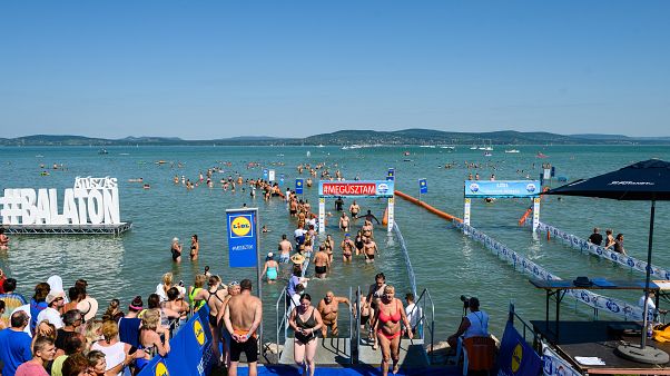 Balaton-átúszás Balaton-átúszás