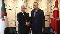 Cezayir Cumhurbaşkanı Abdülmecid Tebbun // Cumhurbaşkanı Recep Tayyip Erdoğan