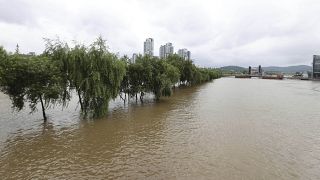 Torrential rain causes flooding and landslides in South Korea, leaving 6 dead