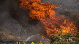 Firefighters work against the Apple Fire near Banning, Calif., Sunday, Aug. 2, 2020