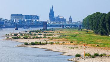 Rhine bank at low tide in Cologne, Germany. The Rheinauhafen with the Crane Buildings and Cologne Cathedral in the background.
