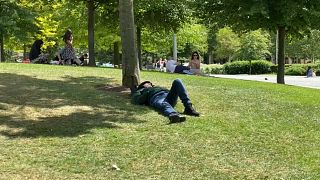 Un londinense toma el sol en un parque
