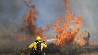 L'incendio a Santa Clarita. La lotta dei pompieri contro il fuoco. 