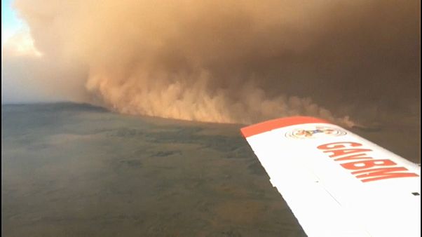 Löschflugzeug in Brasilien im Einsatz Löschflugzeug in Brasilien im Einsatz