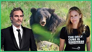 Celebrity campaign calls for us all to rethink our relationship with nature