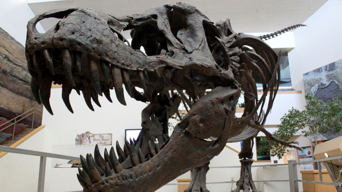 اكتشاف أول حالة إصابة بالسرطان لدى ديناصور