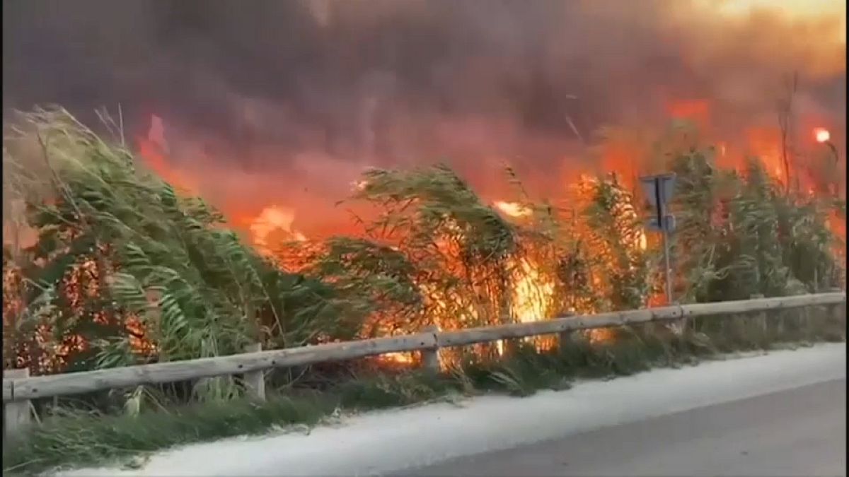 france wildfire