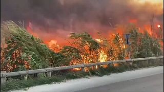 france wildfire