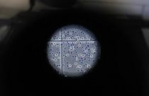 صورة مجهرية من داخل أحد المختبرات في الولايات المتحدة