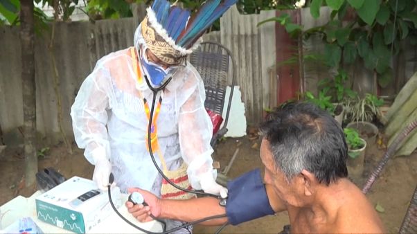 La pandemia en la selva La pandemia en la selva