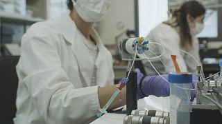 CONVAT, un biosensor para detectar coronavirus en humanos y murciélagos