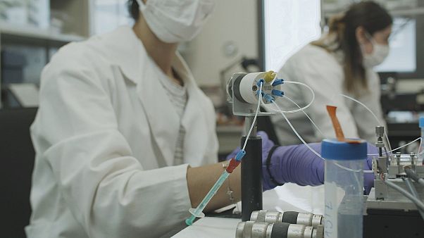 Φορητός βιο-αισθητήρας ανιχνεύει τον κορονοϊό σε ανθρώπους και ζώα Φορητός βιο-αισθητήρας ανιχνεύει τον κορονοϊό σε ανθρώπους και ζώα