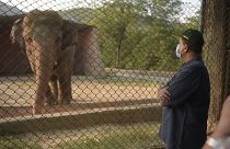 Pakistani prime minister advisor to climate change Malik Amin Aslam stands as Elephant Kaavan is seen behind a fence at the Marghazar Zoo in Islamabad on July 18, 2020
